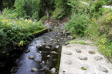 Unterer Grumbacher Teich Oberharzer Wasserwirtschaft 350 Bilder
